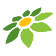 MOD APK MOD